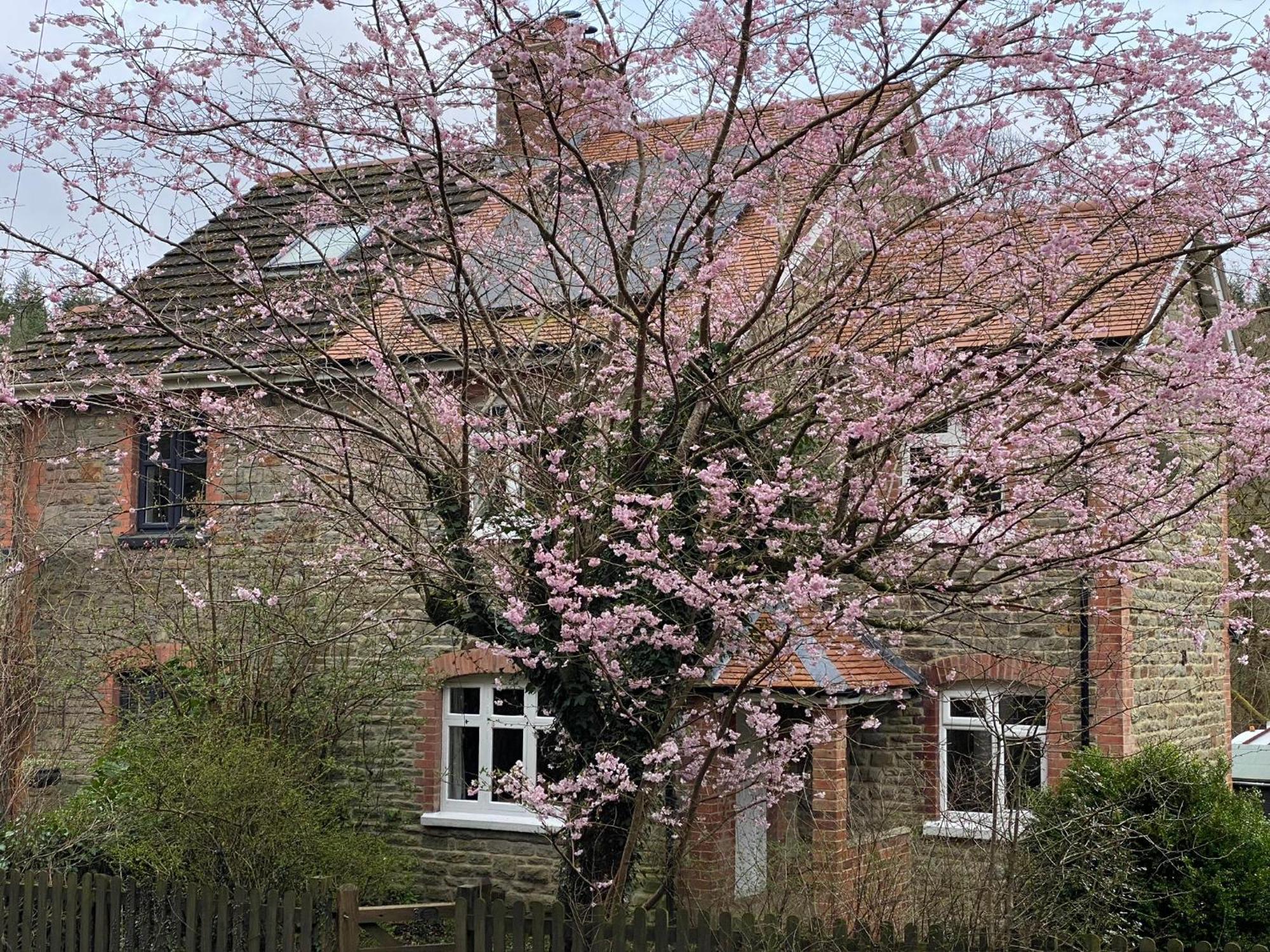 Willow Cottage Longney Zewnętrze zdjęcie